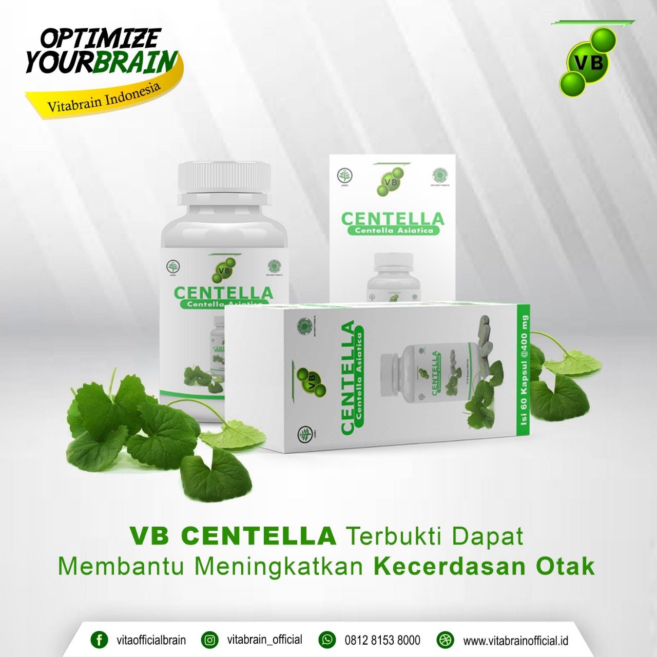 Vitabrain vitamin otak